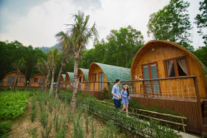 Trào lưu farmstay có theo 'vết xe đổ' condotel?