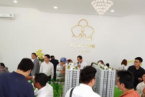 L&L Group tung ra thị trường 500 căn hộ giá rẻ