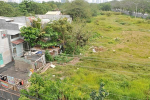 TP.HCM: Thúc tiến độ đẩy nhanh thu hồi các dự án chậm triển khai