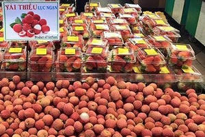 4 tấn vải thiều Việt tiếp tục lấp kín siêu thị Nhật, hộp 10 quả bán giá 125.000 đồng