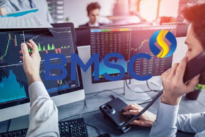 Chứng khoán Bảo Minh (BMS) muốn chào bán 125 triệu cổ phiếu riêng lẻ, huy động 1.250 tỷ đồng