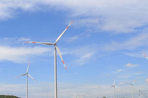 Tham vọng ngành năng lượng tái tạo của REE đến đâu?