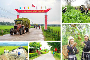 Sức mạnh lòng dân - nền tảng vững chắc của mọi thắng lợi - Kỳ 2: Nhân dân là chủ và làm chủ