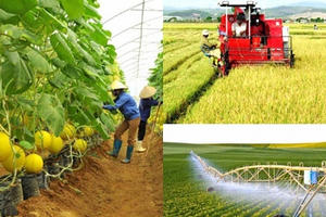 Tích tụ đất nông nghiệp để sản xuất hàng hóa: Cần hoàn thiện hành lang pháp lý