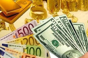 Giá vàng hôm nay 20/11: USD đổ gục, vàng vọt lên từ đáy