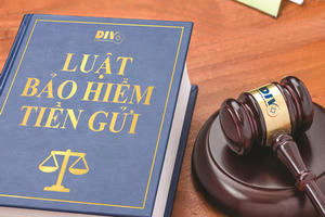 Sửa đổi Luật Bảo hiểm tiền gửi: Tăng cường trụ cột pháp lý cho niềm tin và ổn định tài chính