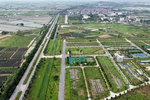 CEO Group (CEO) nhận 17,1ha đất tại Mê Linh, phê duyệt 2.282 tỷ đồng cho dự án "treo" 17 năm