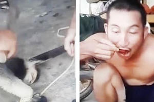 Khởi tố 6 đối tượng trong vụ livestream cảnh giết Voọc trên facebook