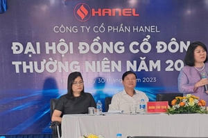 ĐHĐCĐ Hanel 2023: Nhất trí trình xin thoái vốn 100% vì chỉ có như vậy mới có cơ hội phát triển