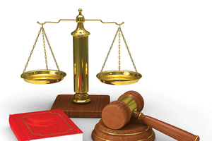 Những chính sách pháp luật mới có hiệu lực từ tháng 1/2026