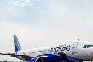 Hãng hàng không giá rẻ lớn nhất Ấn Độ mở đường bay tới VN