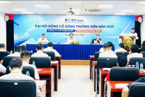 Kosy (KOS): Đặt mục tiêu lãi 118 tỷ đồng năm 2025 sau khi chỉ hoàn thành 20% kế hoạch 2024
