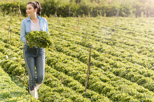 Lý Nhã Kỳ: “Tôi trồng rau nuôi gà vì thích, chứ không phải vì lợi nhuận”