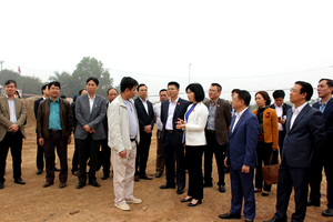 Hà Nội: Hàng loạt dự án chậm triển khai, sai phạm về đất đai