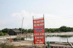 Bất động sản Cần Giờ vắng vẻ lạ thường