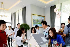 Số lượng người giàu của Việt Nam đang tăng chóng mặt