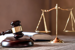 Năm 2024: Trăn trở của những “thầy cãi”