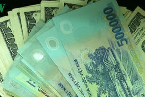 Giá USD trong nước hôm nay 5/9 gần như đứng im