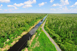 Cà Mau duyệt đề án du lịch rừng U Minh Hạ hơn 1.450 tỷ đồng