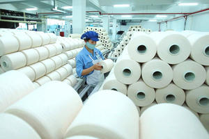 Damsan (ADS) thoái vốn công ty liên kết hạ tầng, chi 81 tỷ đồng mua cổ phiếu công ty con