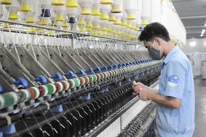 Công ty Damsan (ADS) đặt kế hoạch lãi 145 tỷ đồng cho năm 2026, tăng trưởng gần 20% so với năm trước
