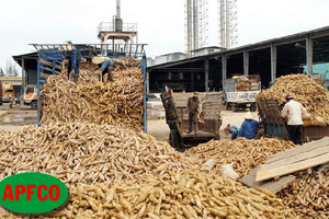 Vượt chỉ tiêu lợi nhuận, Công ty Nông sản Thực phẩm Quảng Ngãi Apfco (APF) sắp chi 32,7 tỷ đồng để trả cổ tức đợt 1/2025