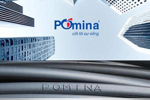 Thép Pomina (POM): Cổ đông lớn bán 7,5 triệu cổ phiếu khi giá tăng 200%, dùng tiền trả nợ thay công ty