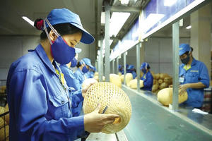 Các doanh nghiệp nhỏ và vừa, khởi nghiệp sáng tạo được miễn thuế thu nhập 3 năm
