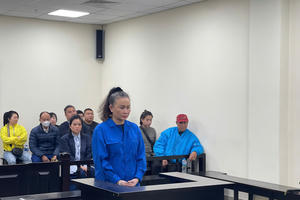 'Hứa' mua hộ biệt thự, chiếm đoạt gần 230 tỷ đồng, nữ bị cáo lãnh án chung thân