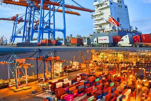 Nhờ cú hích cổ tức, Đầu tư và Phát triển Cảng Đình Vũ (DVP) báo lãi quý IV/2025 tăng  vọt 103%