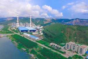 Nhiệt điện Quảng Ninh (QTP): Sạch nợ vay, lãi ròng năm 2025 vượt 128% kế hoạch và sắp chi 450 tỷ đồng cổ tức