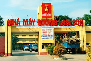 Cổ đông của Mía Đường Lam Sơn (LSS) sắp nhận được cổ tức với tổng tỷ lệ 10%