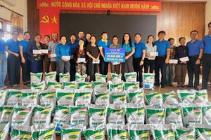 Tập đoàn Bảo Việt (BVH): Top 20 cổ phiếu có chỉ số phát triển bền vững xuất sắc