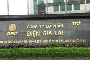 Điện Gia Lai (GEG): Lãi ròng 2025 tăng gấp 6 lần nhờ điện gió, vượt 38% kế hoạch lợi nhuận