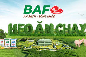 BAF Việt Nam (BAF): Doanh thu năm 2025 vượt 5.000 tỷ đồng, quý IV báo lỗ do giá vốn tăng cao