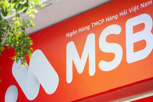 MSB: Lãi trước thuế hơn 7.000 tỷ đồng, tỷ lệ tiền gửi không kỳ hạn tăng vọt lên gần 29%