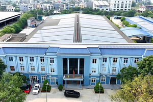 Damsan (ADS): Lãi ròng năm 2025 tăng 95%, mảng bất động sản bù đắp cho sản xuất