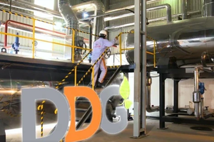 Đầu tư Công nghiệp Xuất nhập khẩu Đông Dương (DDG): Trắng doanh thu quý IV/2025, lỗ lũy kế hơn 500 tỷ đồng