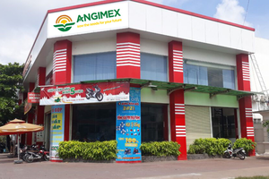 Xuất nhập khẩu An Giang (AGM): Lỗ lũy kế năm 2025 vượt 540 tỷ đồng, bán 15% vốn công ty con