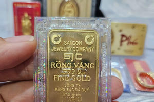 Thủ tướng yêu cầu nghiên cứu giải pháp huy động ngoại tệ, vàng miếng trong dân
