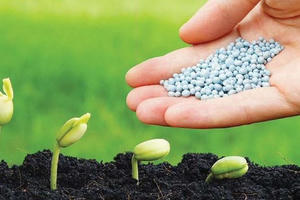 Ngành phân bón hóa chất 2025: Động lực tăng trưởng mạnh mẽ và cơ hội bứt phá năm 2026