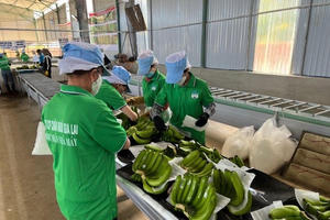 Hoàng Anh Gia Lai (HAG): Chốt quyền dự ĐHĐCĐ và tất toán 700 tỷ đồng nợ trái phiếu