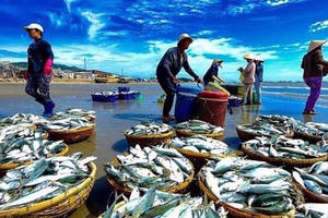 Cuộc đua ngôi vương ngành thủy sản: Navico lật đổ lợi nhuận quý của Vĩnh Hoàn, Sao Ta thu hẹp khoảng cách với Minh Phú