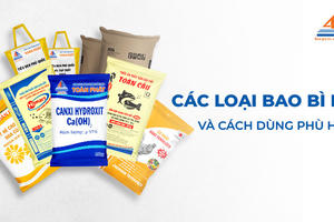 Cổ đông của Bao bì PP (HPB) sắp nhận được khoảng 36,5 tỷ đồng tiền cổ tức, tỷ lệ 100%