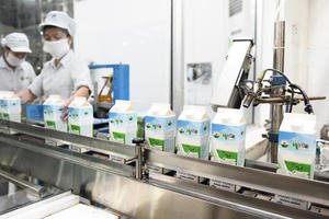 Mộc Châu Milk (MCM) tồn đọng hơn 633 tỷ đồng vốn huy động, lợi nhuận năm 2025 đi lùi