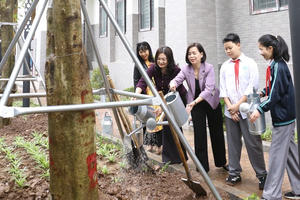 Phường Giảng Võ (Hà Nội): Phát động “Tết trồng cây đời đời nhớ ơn Bác Hồ” năm 2026