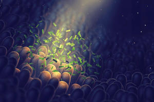 LiveSpo: Lợi nhuận ròng năm 2025 tăng 35%, khởi công nhà máy sản xuất mới tại Hưng Yên