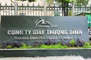 Giầy Thượng Đình (GTD): Biến động cổ đông lớn trước thềm Đại hội thay đổi HĐQT