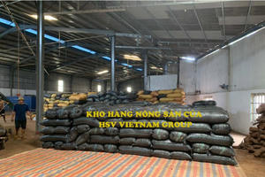 CEO Nguyễn Văn Quân nắm quyền lớn nhất tại HSV, chi 150 tỷ đồng mở rộng đội tàu thủy CEO Nguyễn Văn Quân nắm quyền lớn nhất tại HSV, chi 150 tỷ đồng mở rộng đội tàu thủy