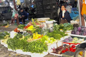 Sương muối xuất hiện sớm sau Tết, rau màu chết hàng loạt, nông dân miền Bắc lao đao vì mưa nồm kéo dài